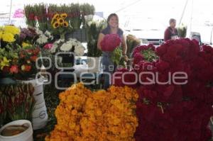 MERCADO . DÍA DE MUERTOS