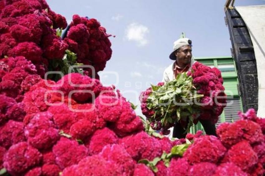 ATLIXCO . VENTA DE FLOR