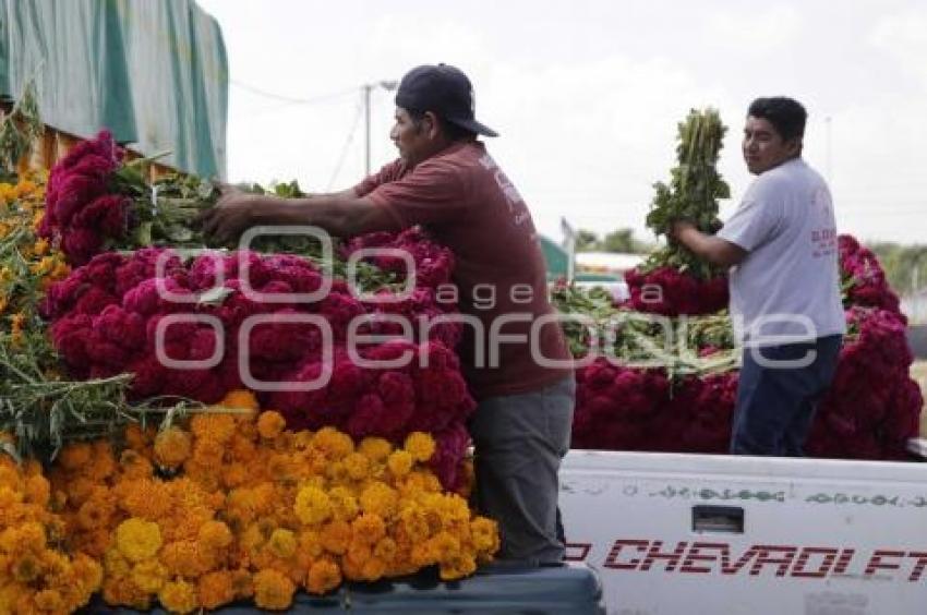 ATLIXCO . VENTA DE FLOR