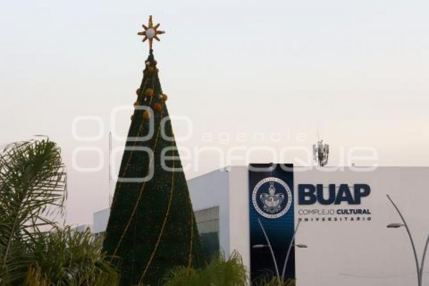 CCU . ÁRBOL NAVIDEÑO