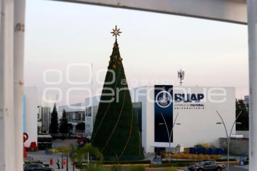 CCU . ÁRBOL NAVIDEÑO