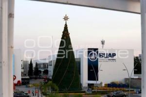 CCU . ÁRBOL NAVIDEÑO