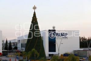 CCU . ÁRBOL NAVIDEÑO