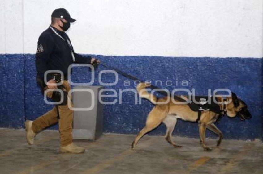 CERTIFICACIÓN BINOMIO CANINO K9