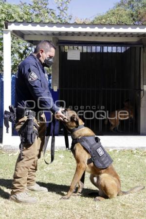 CERTIFICACIÓN BINOMIO CANINO K9