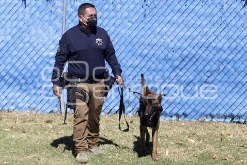 CERTIFICACIÓN BINOMIO CANINO K9