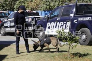 CERTIFICACIÓN BINOMIO CANINO K9