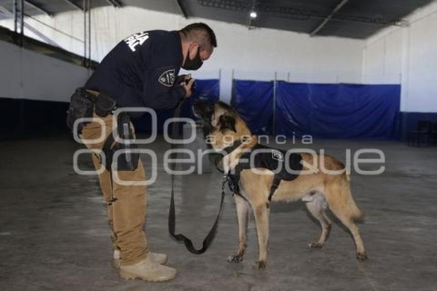 CERTIFICACIÓN BINOMIO CANINO K9