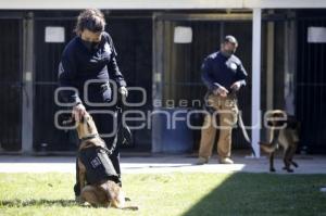 CERTIFICACIÓN BINOMIO CANINO K9