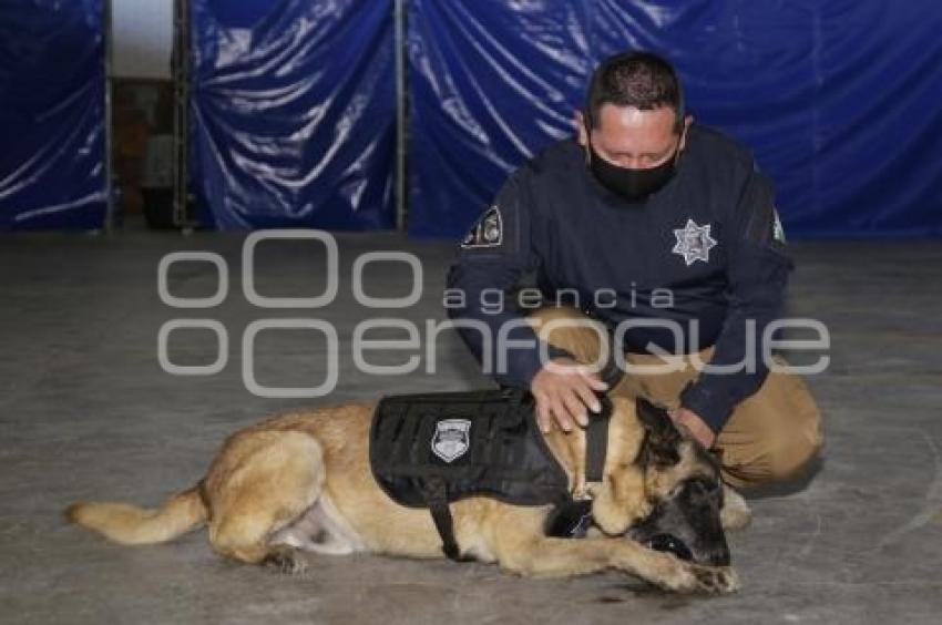 CERTIFICACIÓN BINOMIO CANINO K9