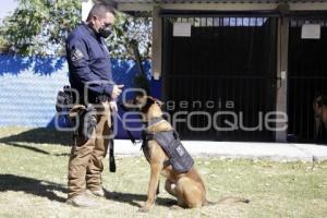 CERTIFICACIÓN BINOMIO CANINO K9