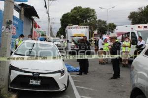 NOTA ROJA . ACCIDENTE VIAL