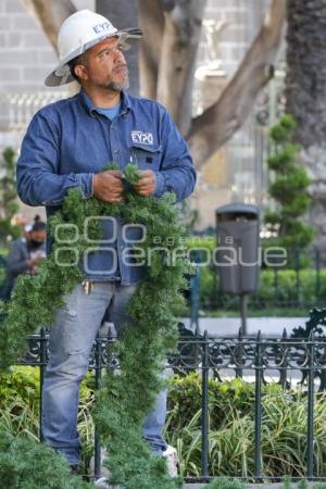 ZÓCALO . ÁRBOL NAVIDEÑO