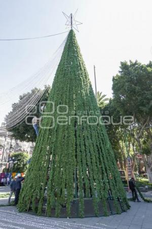 ZÓCALO . ÁRBOL NAVIDEÑO