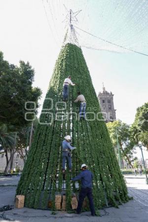 ZÓCALO . ÁRBOL NAVIDEÑO