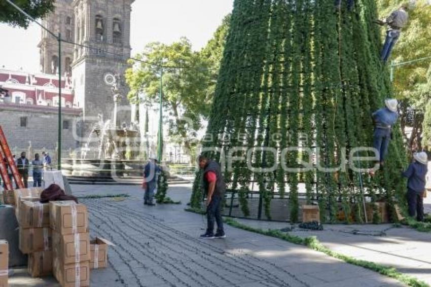 ZÓCALO . ÁRBOL NAVIDEÑO