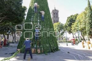 ZÓCALO . ÁRBOL NAVIDEÑO