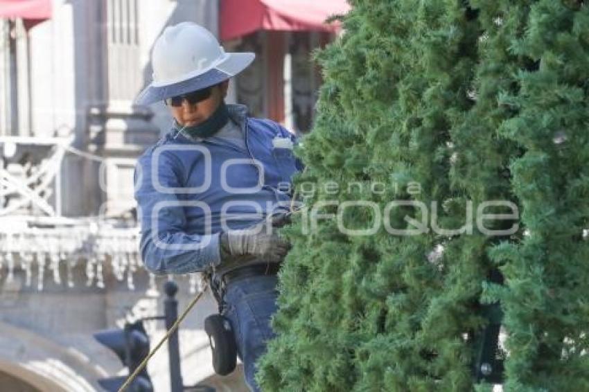 ZÓCALO . ÁRBOL NAVIDEÑO