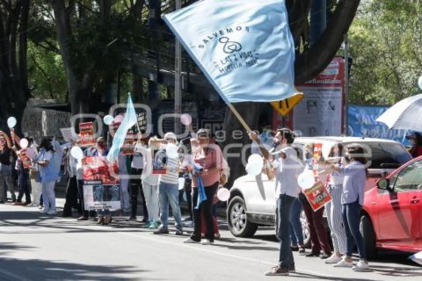 MANIFESTACIÓN PROVIDA