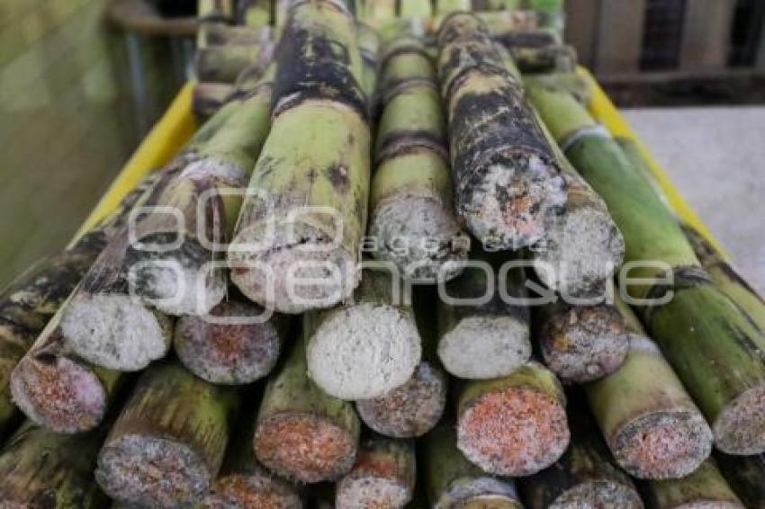 INGREDIENTES PONCHE NAVIDEÑO