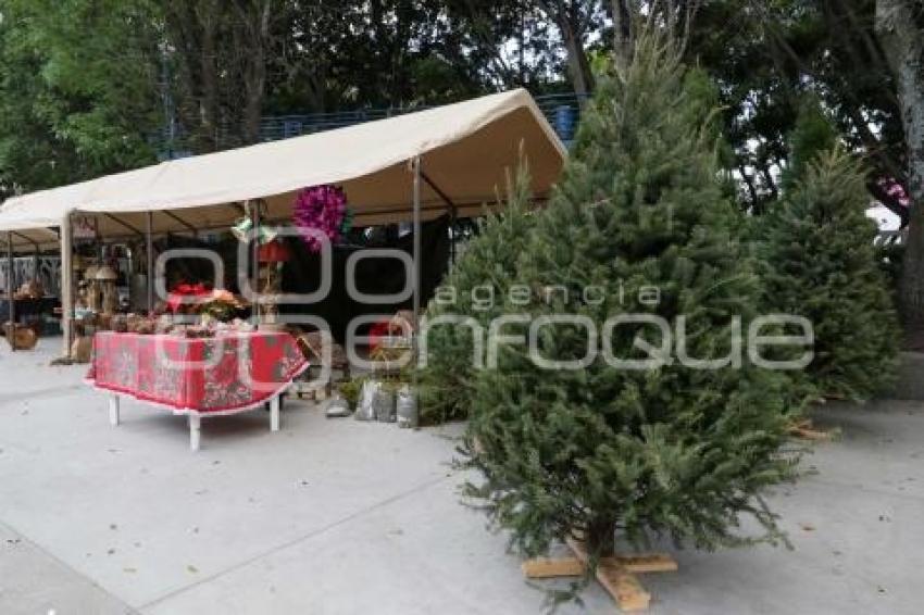 BAZAR NAVIDEÑO . PARQUE JUÁREZ