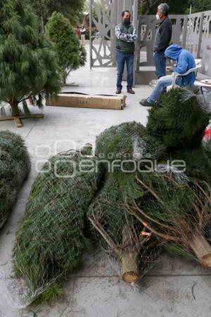 BAZAR NAVIDEÑO . PARQUE JUÁREZ