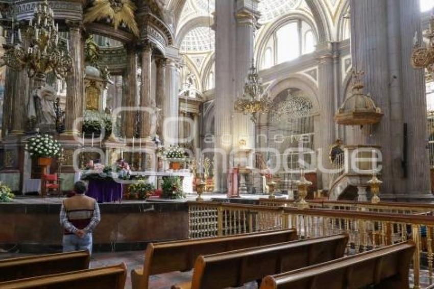 CATEDRAL . VIRGEN DE LA CONCEPCIÓN