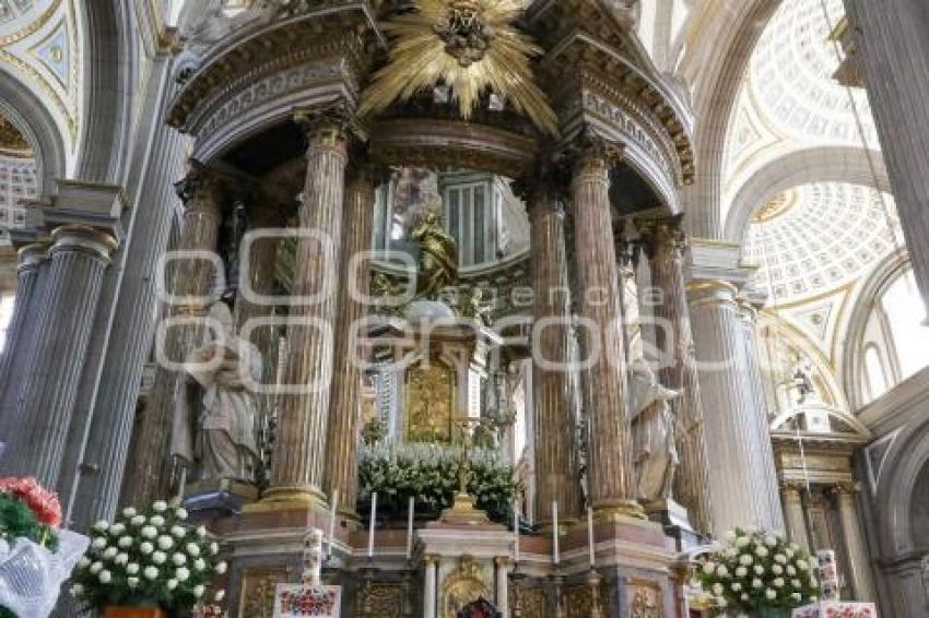 CATEDRAL . VIRGEN DE LA CONCEPCIÓN