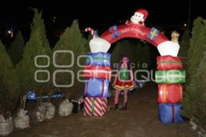 BOSQUE DE CLAUS