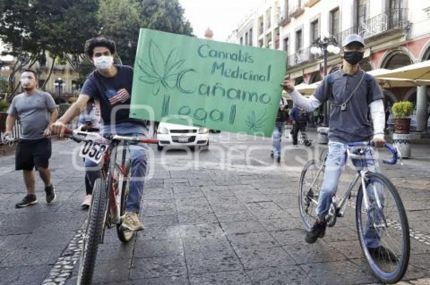 MANIFESTACIÓN GRUPOS CANNÁBICOS