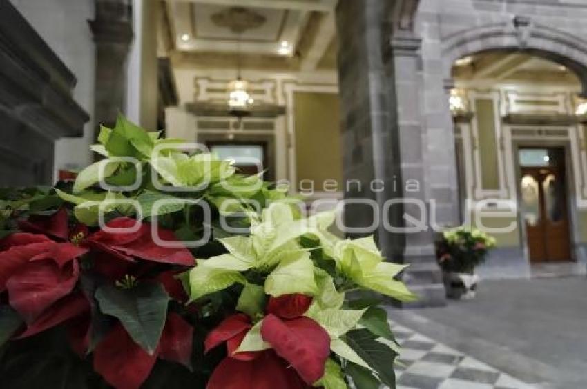 PALACIO MUNICIPAL . ADORNOS NAVIDEÑOS