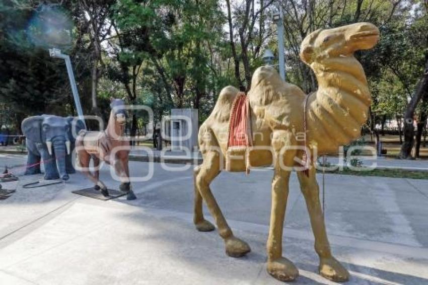 PARQUE JUÁREZ . NACIMIENTO GIGANTE