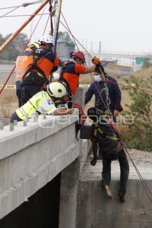 CADÁVER EN BARRANCA