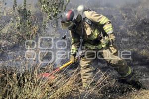 INCENDIO PASTIZALES