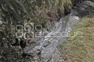 CONTAMINACIÓN . RÍO METLAPANAPA