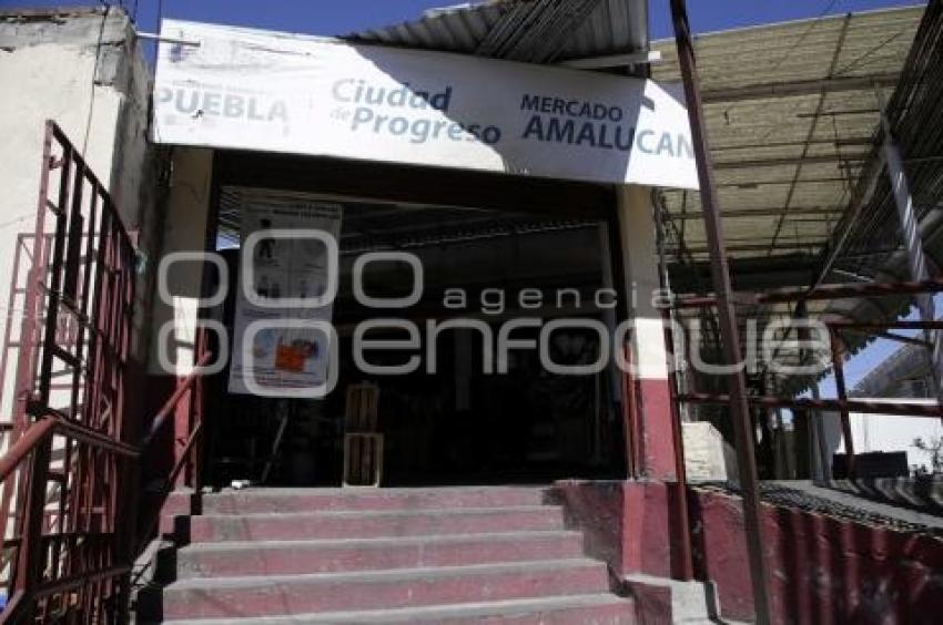 MERCADO AMALUCAN