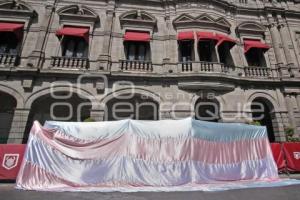 MANIFESTACIÓN LEY AGNES