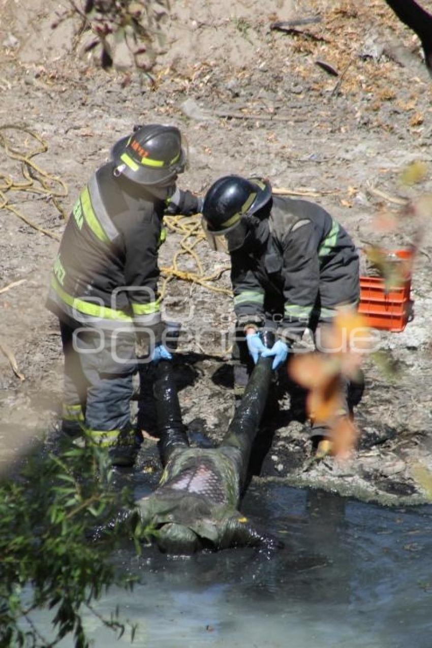 CADÁVER EN RÍO