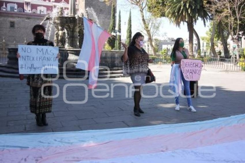 MANIFESTACIÓN LEY AGNES