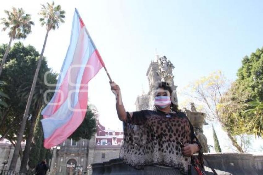 MANIFESTACIÓN LEY AGNES