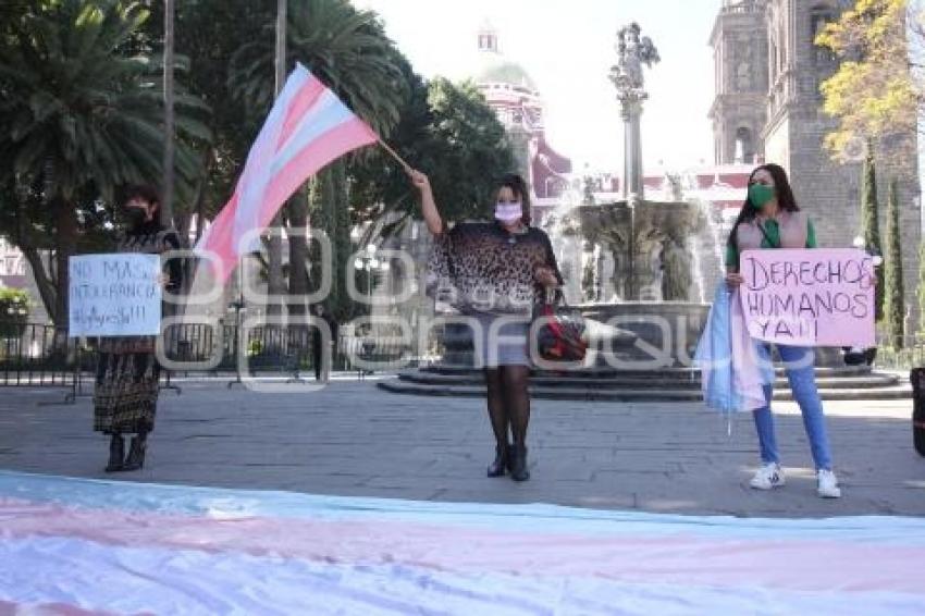 MANIFESTACIÓN LEY AGNES