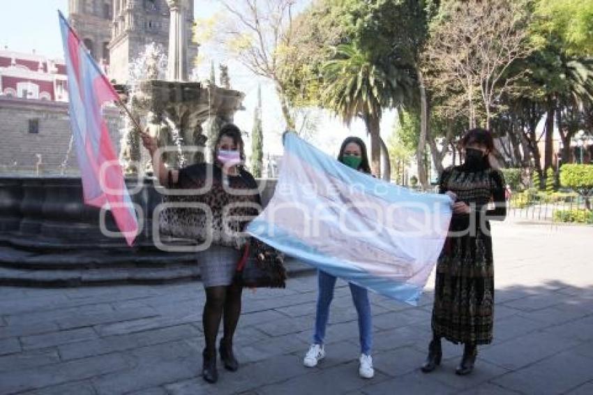 MANIFESTACIÓN LEY AGNES