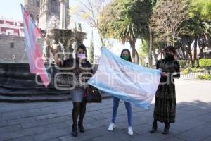 MANIFESTACIÓN LEY AGNES