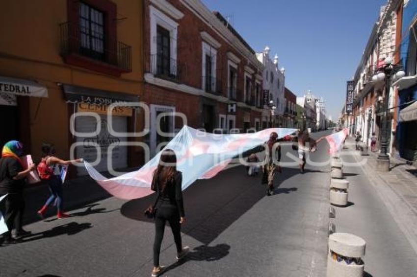 MANIFESTACIÓN LEY AGNES