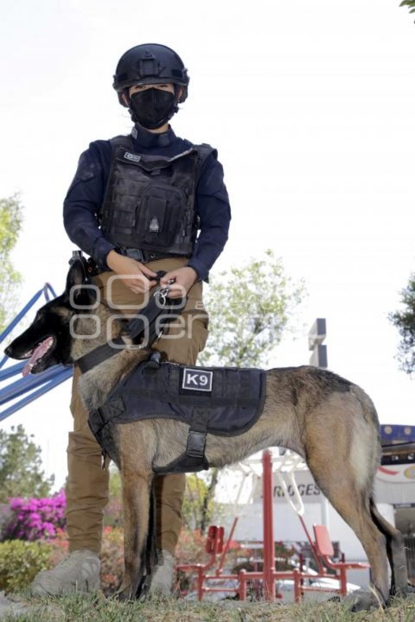 DÍA DE LA MUJER . POLICÍA