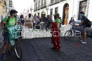 MANIFESTACIÓN REFORMA ENERGÉTICA