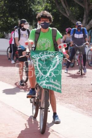 MANIFESTACIÓN REFORMA ENERGÉTICA