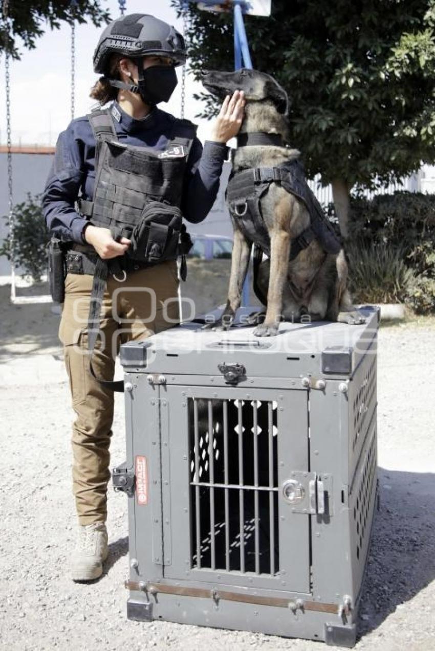 DÍA DE LA MUJER . POLICÍA