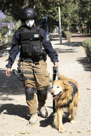 DÍA DE LA MUJER . POLICÍA