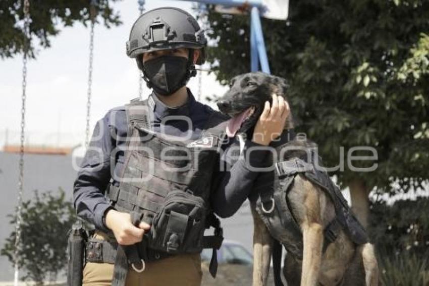 DÍA DE LA MUJER . POLICÍA